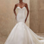 Demetrios 1531 Vencanice Dar