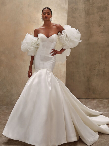 Demetrios 1531 Vencanice Dar