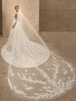 Demetrios 1543 Vencanice Dar
